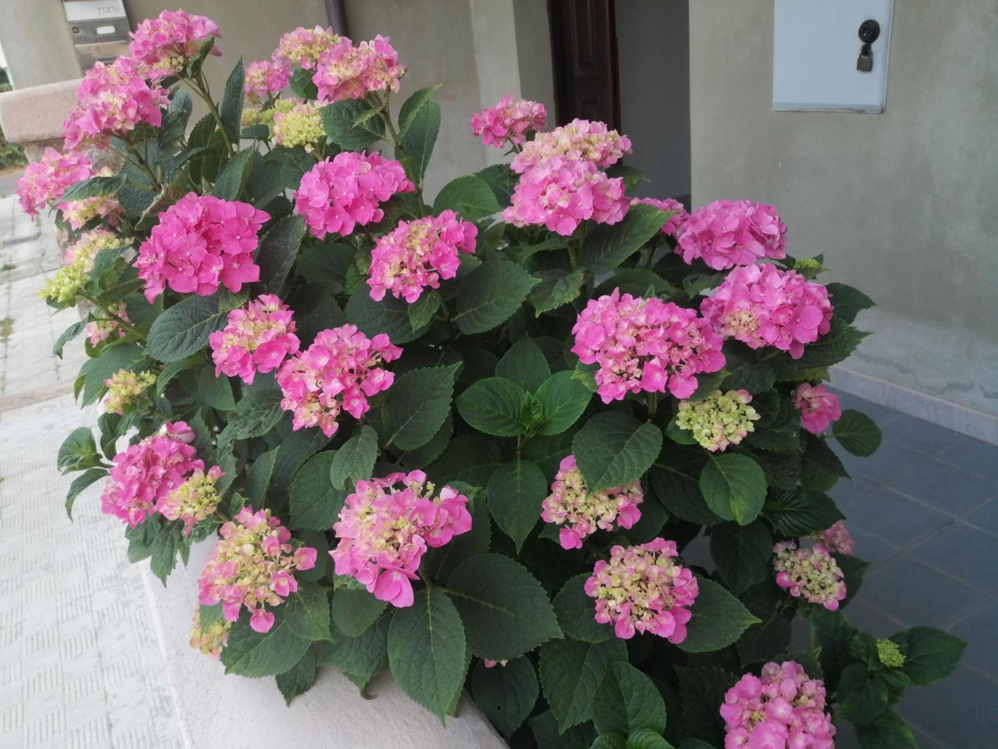 丰尼L Agrifoglio Di Rita Loddo公寓 外观 照片